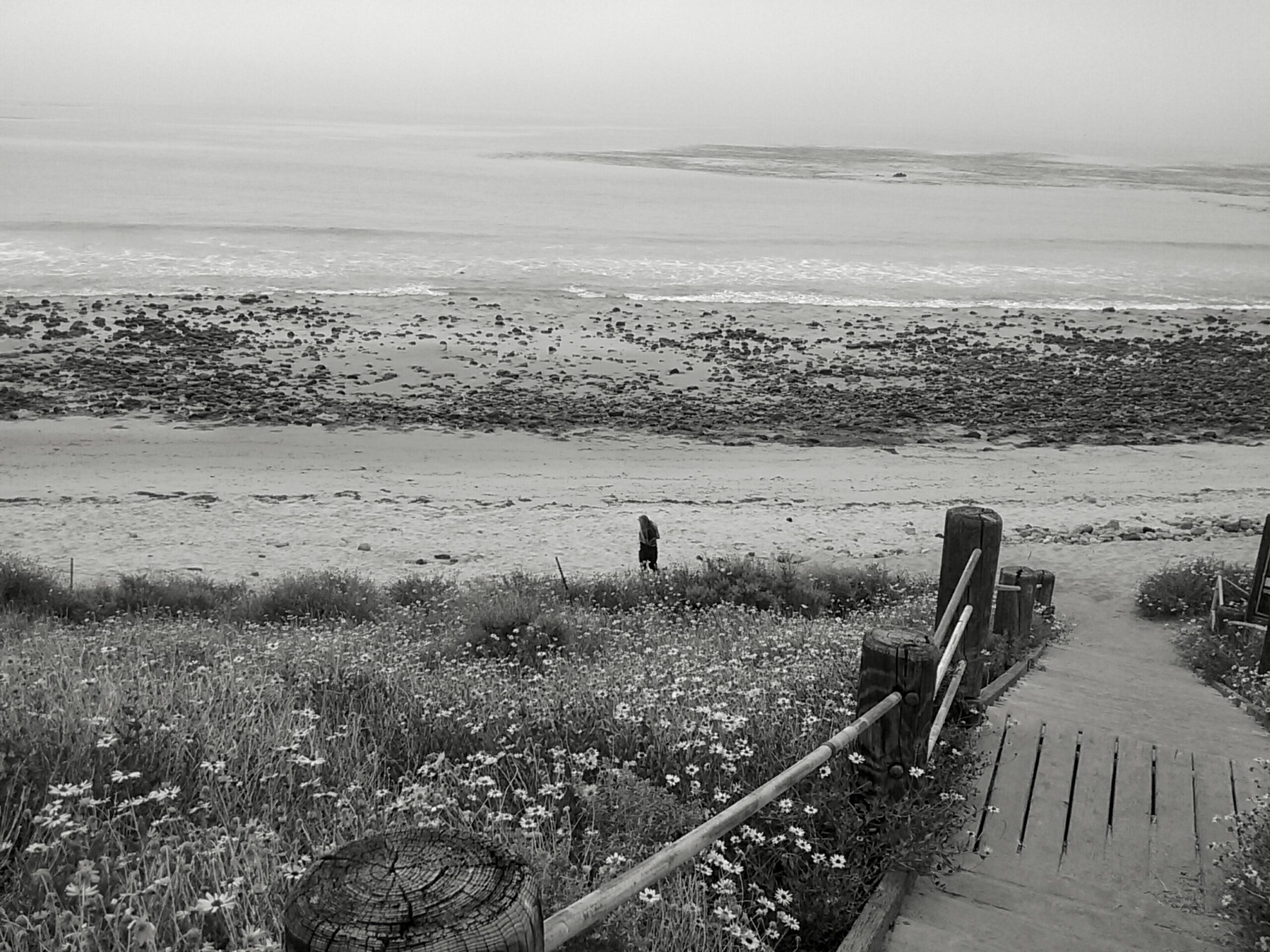 Malibu Steps