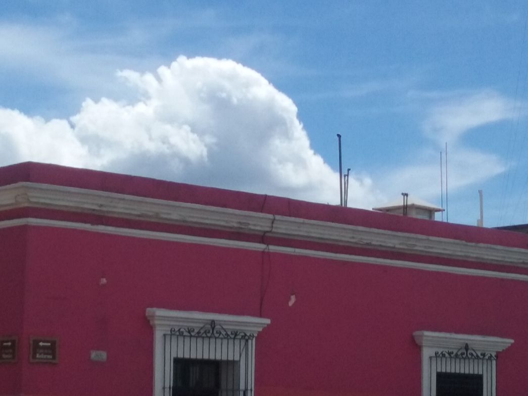 Oaxaca Pink