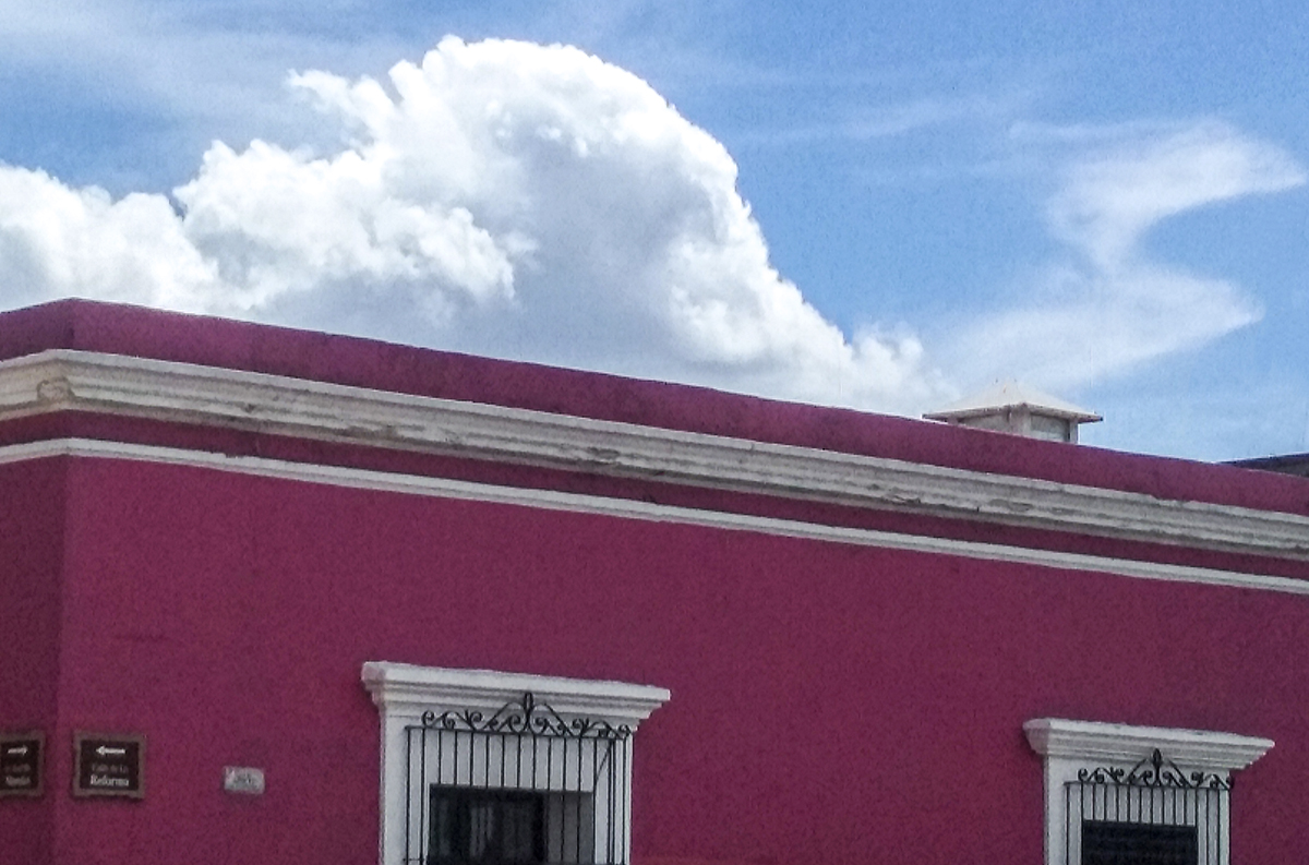 Oaxaca Rosa