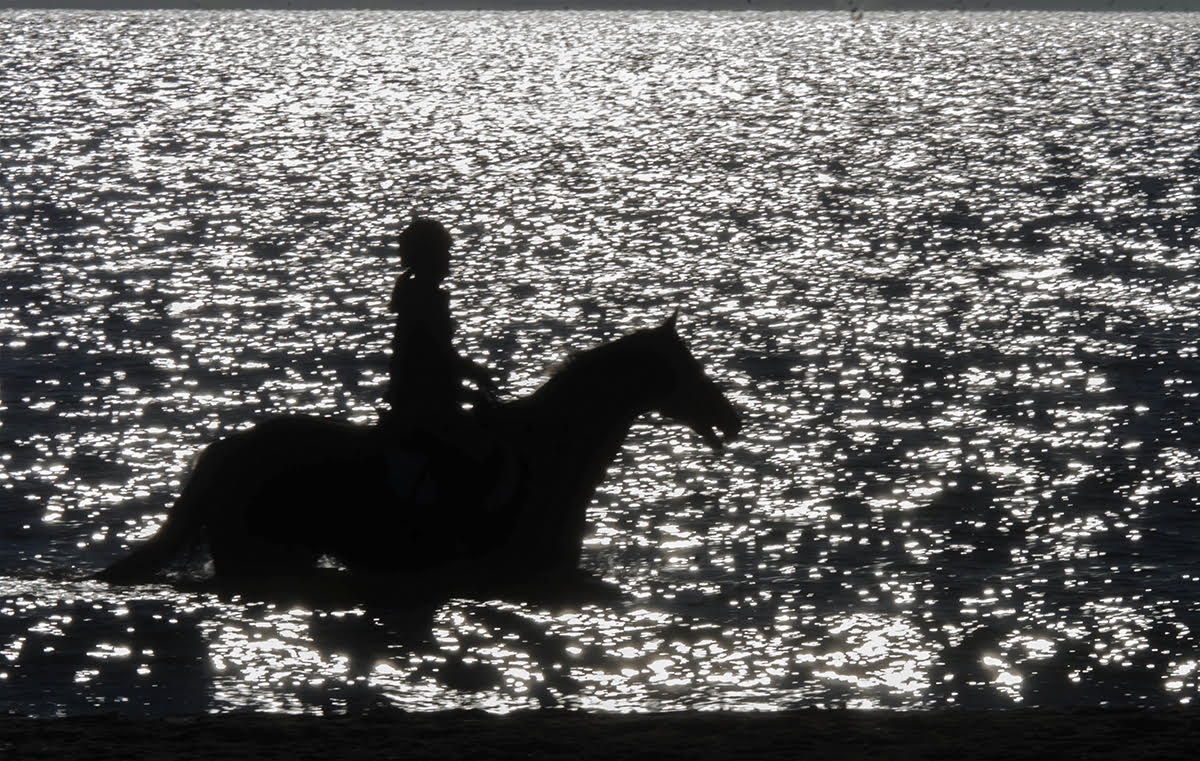 unnamed (3)